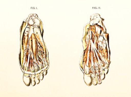 Understanding and Diagnosing Vascular Disease