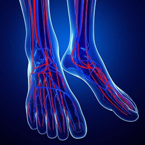 Causes, Symptoms, and Treatment of Poor Blood Circulation in the Feet